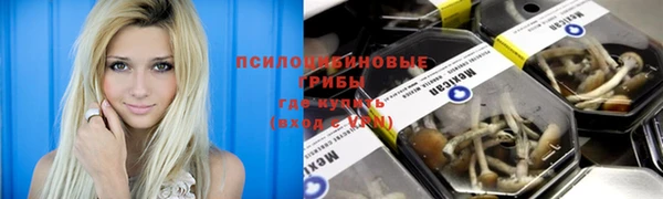 гашик Морозовск