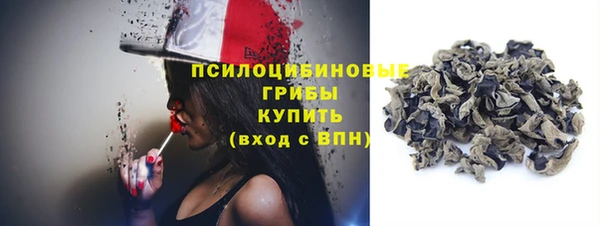 стафф Медвежьегорск