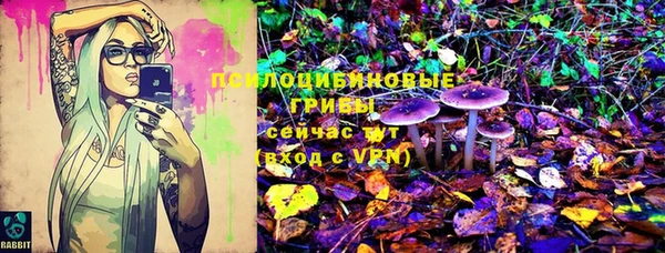 бутират Михайлов