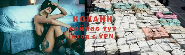 стафф Медвежьегорск