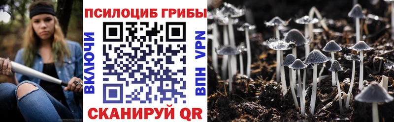 Псилоцибиновые грибы Magic Shrooms  Райчихинск 